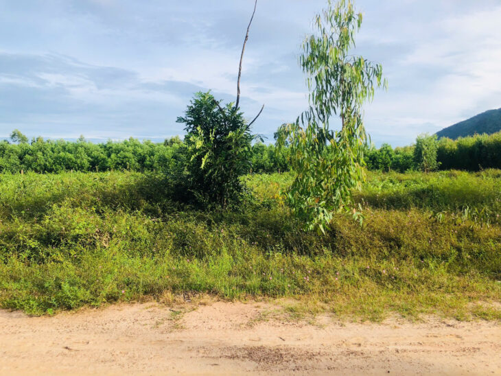 Bán 2.5 sào đất 2 mặt đường số 8 – Tân Hà – Hàm Tân giá mềm 36tr/m ngang