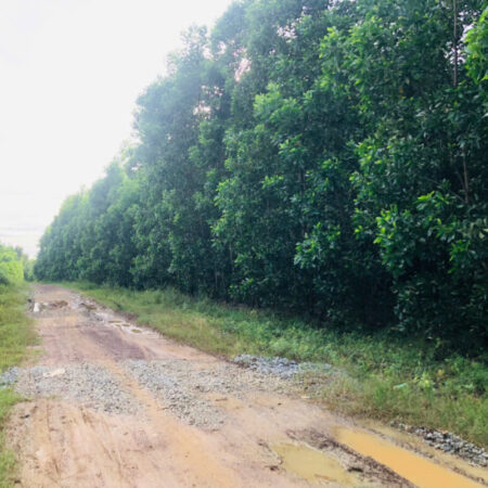 Bán 2.5 sào đất 2 mặt đường số 8 – Tân Hà – Hàm Tân giá mềm 36tr/m ngang Bán 2.5 sào đất 2 mặt đường số 8 – Tân Hà – Hàm Tân giá mềm 36tr/m ngang