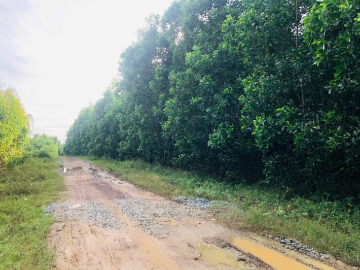 Bán 2.5 sào đất 2 mặt đường số 8 – Tân Hà – Hàm Tân giá mềm 36tr/m ngang