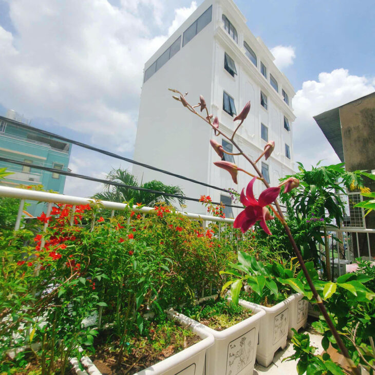 NHANH TAY SỞ HỮU NGAY CĂN NHÀ ĐẸP PHONG CÁCH HIỆN ĐẠI Vị Trí Tại Quận Gò Vấp, TP HCM