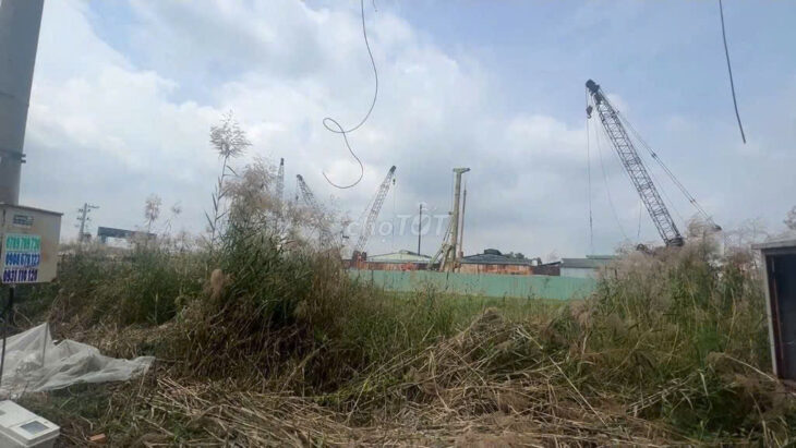 Chính chủ bán đất đường Gò Hưu, khu đất Trần Anh, Đức Hoà, Long An