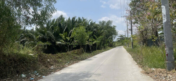 CHÍNH CHỦ CẦN BÁN LÔ ĐẤT Mặt Tiền Đường Ông Niệm 1, Xã Phong Phú, Bình Chánh, Hồ Chí Minh