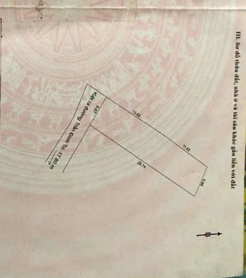 ĐẤT KIỆT 3M TRẦN ĐÌNH TRI.