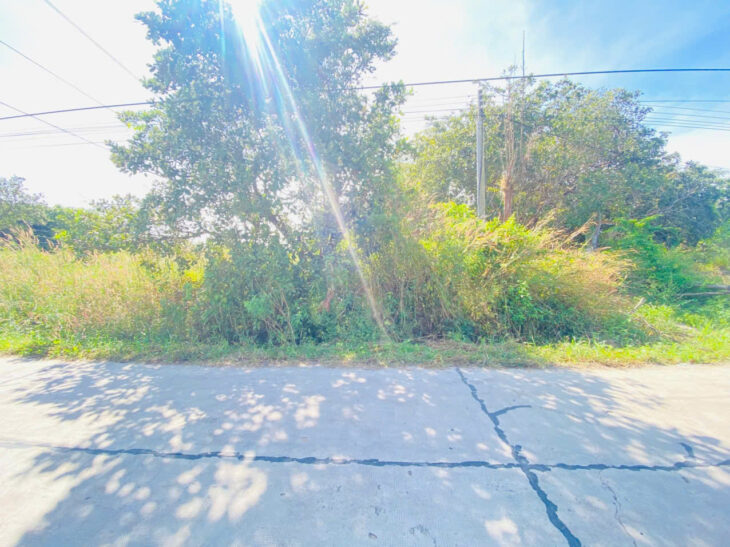 Bán 15m x 30m full thổ cư Đường số 14 – Tân Xuân – Hàm Tân giá đầu tư