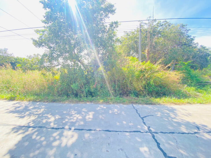 Bán 15m x 30m full thổ cư Đường số 14 – Tân Xuân – Hàm Tân giá đầu tư