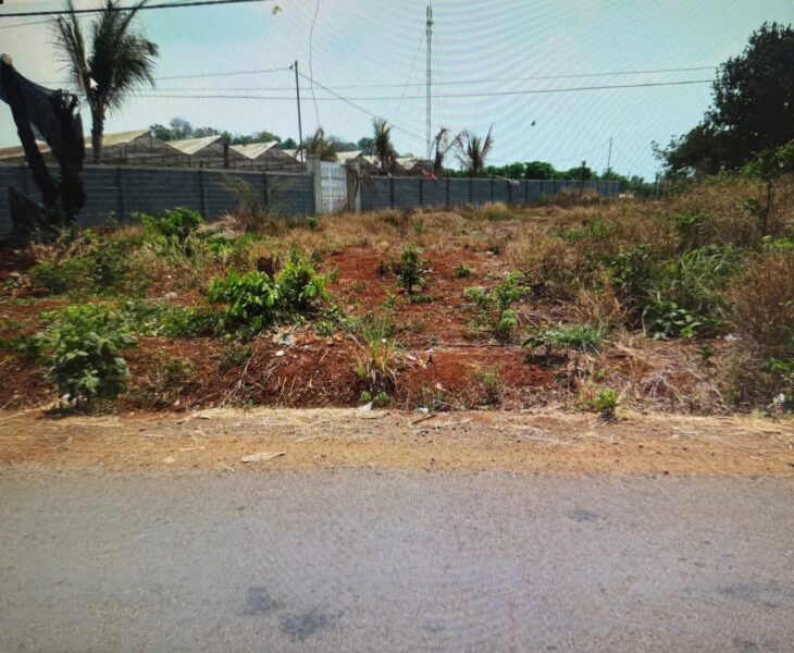 ĐẤT ĐẸP – GIÁ ĐẦU TƯ – CHÍNH CHỦ CẦN BÁN LÔ ĐẤT VỊ TRÍ ĐẸP TẠI Khánh Xuân, Buôn Ma Thuột