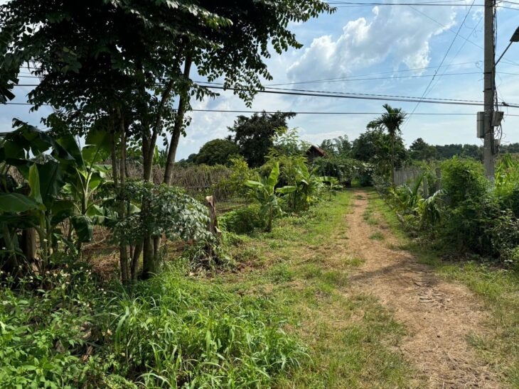 ĐẤT ĐẸP – GIÁ ĐẦU TƯ – CHÍNH CHỦ CẦN BÁN LÔ ĐẤT VỊ TRÍ ĐẸP TẠI Khánh Xuân, Buôn Ma Thuột