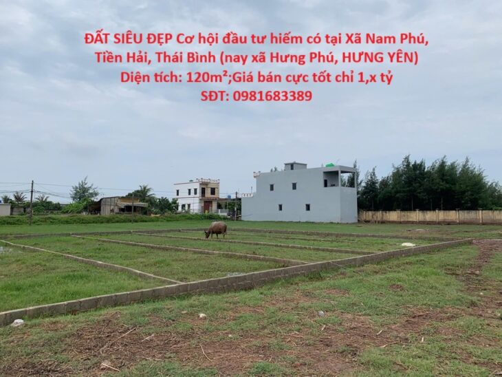 ĐẤT SIÊU ĐẸP Cơ hội đầu tư hiếm có tại Xã Nam Phú, Tiền Hải, Thái Bình (nay xã Hưng Phú, HƯNG YÊN)