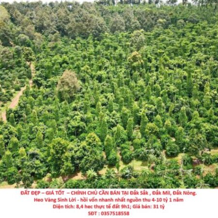 ĐẤT ĐẸP – GIÁ TỐT – CHÍNH CHỦ CẦN BÁN Lô Đất Tại Đắk Sắk , Đắk Mil, Đắk Nông ĐẤT ĐẸP – GIÁ TỐT – CHÍNH CHỦ CẦN BÁN Lô Đất Tại Đắk Sắk , Đắk Mil, Đắk Nông