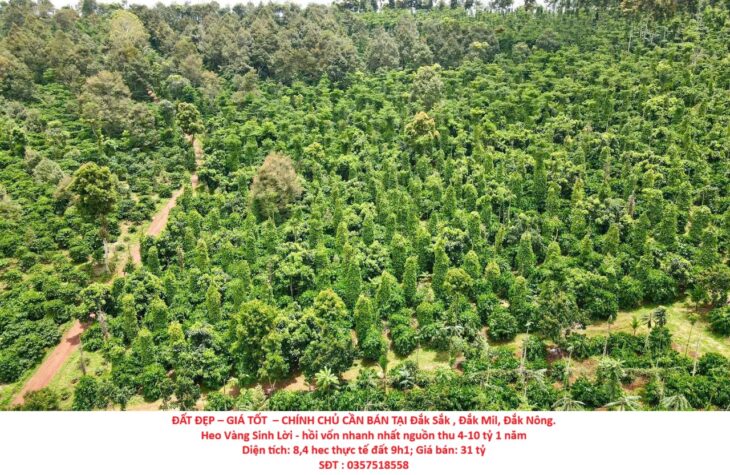 ĐẤT ĐẸP – GIÁ TỐT – CHÍNH CHỦ CẦN BÁN Lô Đất Tại Đắk Sắk , Đắk Mil, Đắk Nông