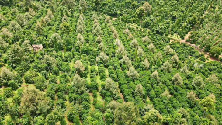 ĐẤT ĐẸP – GIÁ TỐT – CHÍNH CHỦ CẦN BÁN Lô Đất Tại Đắk Sắk , Đắk Mil, Đắk Nông