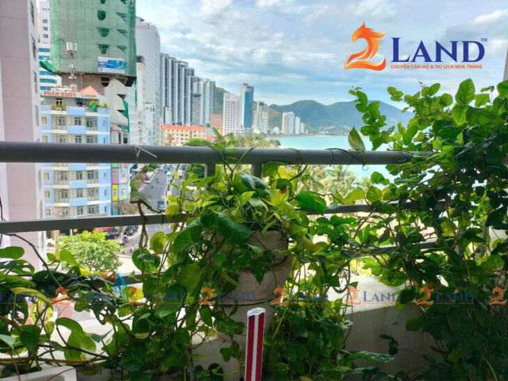 Mường Thanh Viễn Triều Tòa OC1B, gần các khu vực sầm uất – thuận tiện di chuyển.