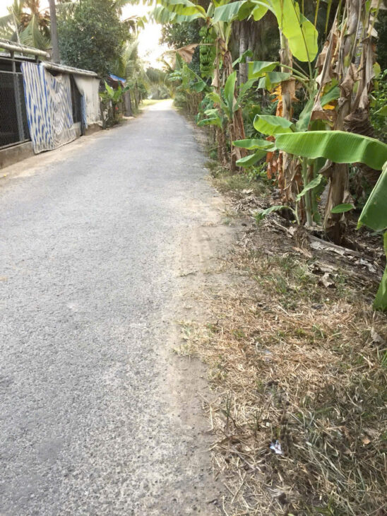 ĐẤT VƯỜN DỪA – GIÁ TỐT – CHÍNH CHỦ CẦN BÁN Tại Tân Trung Giồng A, Hiếu Trung, Tiểu Cần, Trà Vinh