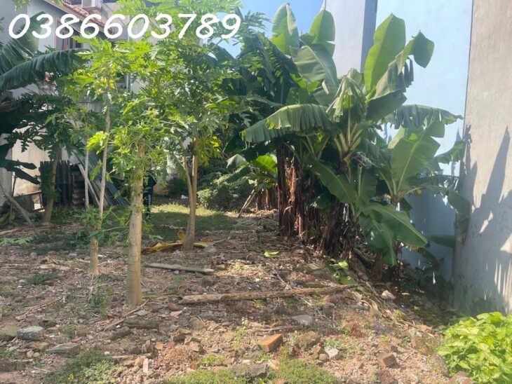 BÁN NHÀ ĐẤT 252/270M² – MẶT TIỀN 9.8M – 1 TẦNG – PHỐ NGUYỄN VĂN LINH – GIÁ 23.5 TỶ