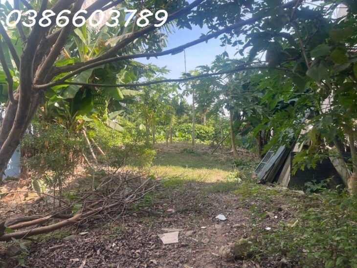 BÁN NHÀ ĐẤT 252/270M² – MẶT TIỀN 9.8M – 1 TẦNG – PHỐ NGUYỄN VĂN LINH – GIÁ 23.5 TỶ