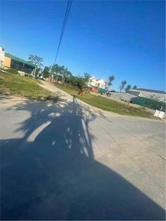 HOT HOT – CẦN BÁN LÔ ĐẤT VỊ TRÍ ĐẸP TẠI khối 8 xã nghi phong,huyện Nghi Lộc, tỉnh Nghệ An