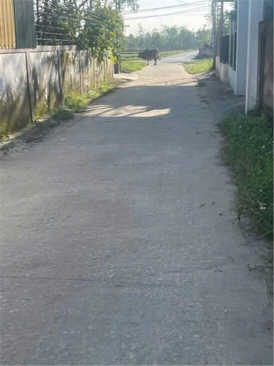 HOT HOT – CẦN BÁN LÔ ĐẤT VỊ TRÍ ĐẸP TẠI khối 8 xã nghi phong,huyện Nghi Lộc, tỉnh Nghệ An