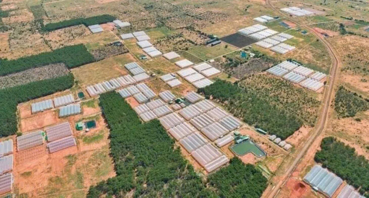 CHÍNH CHỦ BÁN LÔ ĐẤT ĐẸP – GẦN 5 HA + 300M² THỔ CƯ – THÔN 2, XÃ HÀM LIÊN, HÀM THUẬN BẮC, BÌNH THUẬN CHÍNH CHỦ BÁN LÔ ĐẤT ĐẸP – GẦN 5 HA + 300M² THỔ CƯ – THÔN 2, XÃ HÀM LIÊN, HÀM THUẬN BẮC, BÌNH THUẬN