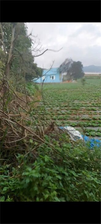 ĐẤT ĐẸP – GIÁ TỐT – CHÍNH CHỦ CẦN BÁN Tại Lạc Xuân, Đơn Dương, Lâm Đồng