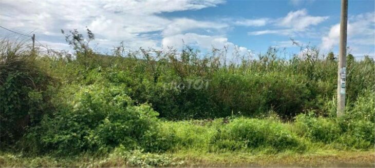 ĐẤT CHÍNH CHỦ – SỔ HỒNG RIÊNG – Bán ĐẤT KHU DU LỊCH SUỐI MƠ – ĐỒNG NAI ĐẤT CHÍNH CHỦ – SỔ HỒNG RIÊNG – Bán ĐẤT KHU DU LỊCH SUỐI MƠ – ĐỒNG NAI