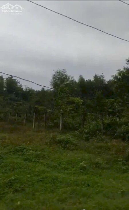 Chính Chủ Bán 1167,3m2 Đất Tại Xã Nghĩa Thuận, Huyện Tư Nghĩa, Tỉnh Quảng Ngãi.