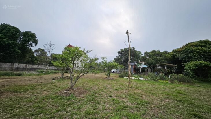 Cho thuê làm sân pickleball,sân bóng đá diện tích rộng 5000m2 lâu dài tại hà nội