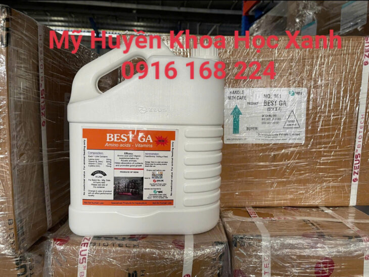 BEST GA – bổ gan thảo dược dạng nước