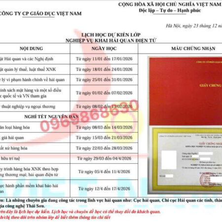 KHÓA HỌC NGHIỆP VỤ KHAI BÁO HẢI QUAN – BƯỚC KHỞI ĐẦU VỮNG CHẮC CHO NGƯỜI LÀM XUẤT NHẬP KHẨU
