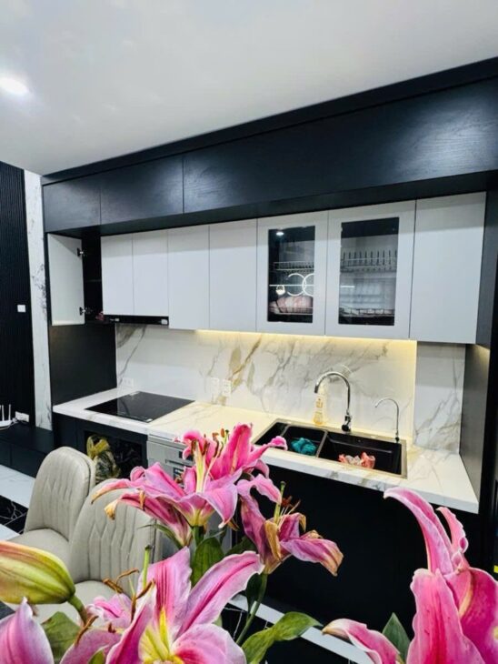 Bán nhà Đẹp Việt Hưng – gara ô chờ thang máy Full NT- Dân xây 55m 5 tầng nhỉnh 11 tỷ(TL)