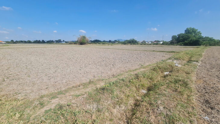 Bán 20m x 39m đất ODT Hẻm Đinh Bộ Lĩnh – Phước Hội – LaGi 1.05 tỷ chính chủ