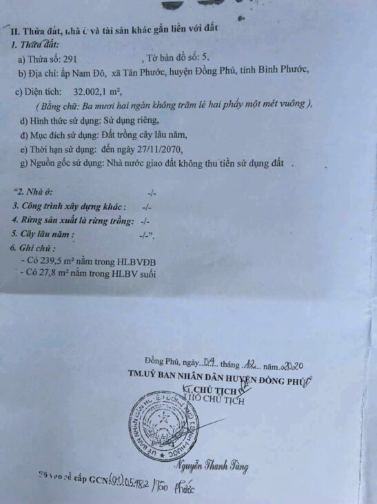 CẦN BÁN ĐẤT MẶT TIỀN ĐƯỜNG NHỰA – TÂN PHƯỚC – ĐỒNG PHÚ – BÌNH PHƯỚC CHỈ 9 TỶ/ HA