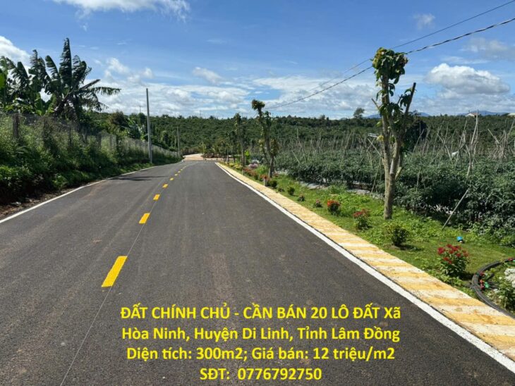 ĐẤT CHÍNH CHỦ – CẦN BÁN 20 LÔ ĐẤT Xã Hòa Ninh, Huyện Di Linh, Tỉnh Lâm Đồng