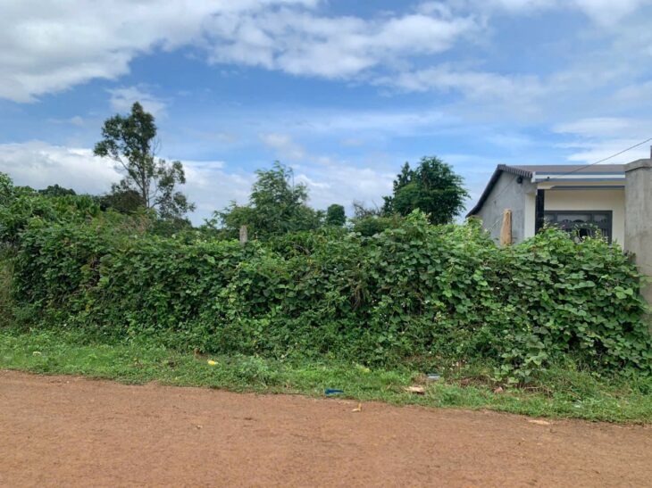 ĐẤT ĐẸP – GIÁ ĐẦU TƯ – CẦN BÁN 2 LÔ ĐẤT TẠI Xã Ea Bar, Huyện Buôn Đôn, Tỉnh Đắk Lắk