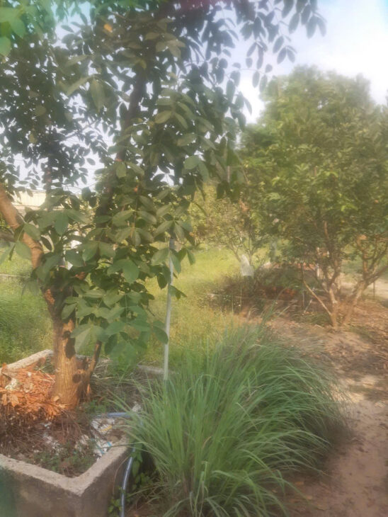 BÁN ĐẤT CHÍNH CHỦ MẶT TIỀN QUỐC LỘ 13 – PHƯỜNG BẾN CÁT- TỈNH BÌNH DƯƠNG