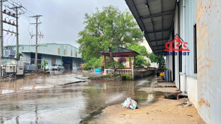 XT652 cho thuê xưởng sản xuất thích hợp đầu tư linh hoạt ngành nghề, trống xưởng