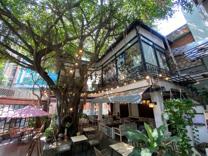 CHÍNH CHỦ CẦN CHO THUÊ BIỆT THỰ SÂN VƯỜN TẠI 149/12 , Đường Bành Văn Trân, Phường 7, Tân Bình