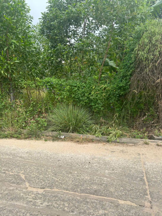 Bán 7m x 25m đất Hẻm Đinh Bộ Lĩnh, Tân Thiện, LaGi giá rẻ nhất 1.5 tỷ