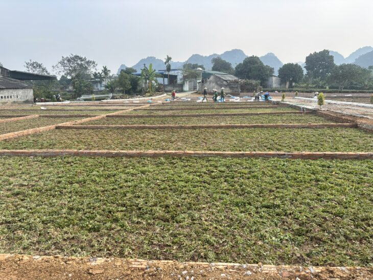 🔥CHỈ VỚI 3xxTRIỆU – CƠ HỘI TĂNG TÀI SẢN BỨT PHÁ 💥