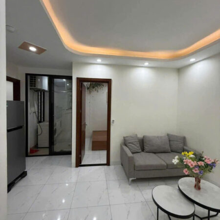 Bán căn Chung cư mini cực hiếm 52m, 2 ngủ, 1 vs, vị trí đẹp về ở ngay!
