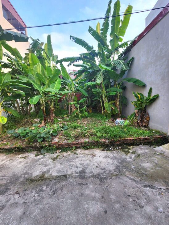 ĐẤT ĐẸP – GIÁ TỐT – Bán Lô Đất Vị Trí đẹp ÔTÔ Đậu Cửa Việt Hùng, Đông Anh, Hà Nội