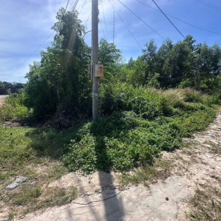 Bán đất thổ cư Hẻm Thượng Hiền – Tân An – LaGi giá gốc