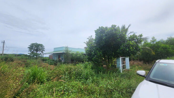 Bán 9973m2 giáp Hồ Núi Đất – Tân Tiến – LaGi giá ngộp 1.5 tỷ sổ riêng