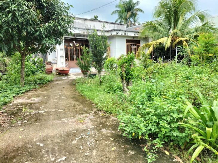 Nhà chính chủ địa chỉ: 999 Nguyễn Văn Khạ, ấp 2, xã Nhuận Đức, Củ Chi, Hồ Chí Minh