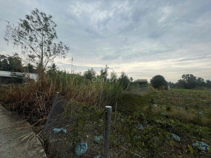 ĐẤT CHÍNH CHỦ – MẶT TIỀN Đường ĐT 832 Xã Nhựt Chánh , Huyện Bến Lức, Long An