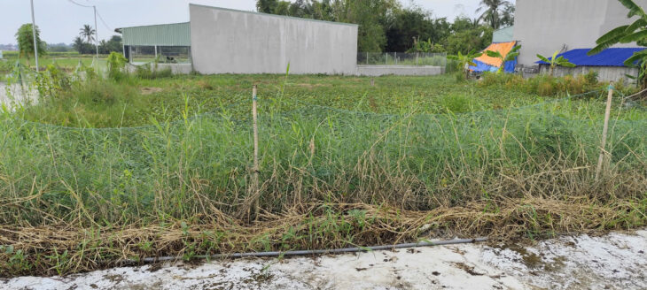 Cần tiền bán gấp lô đất 2 mặt tiền tại xã Phước Vân, Cần Đước, Long An – Giá tốt cho nhà đầu tư