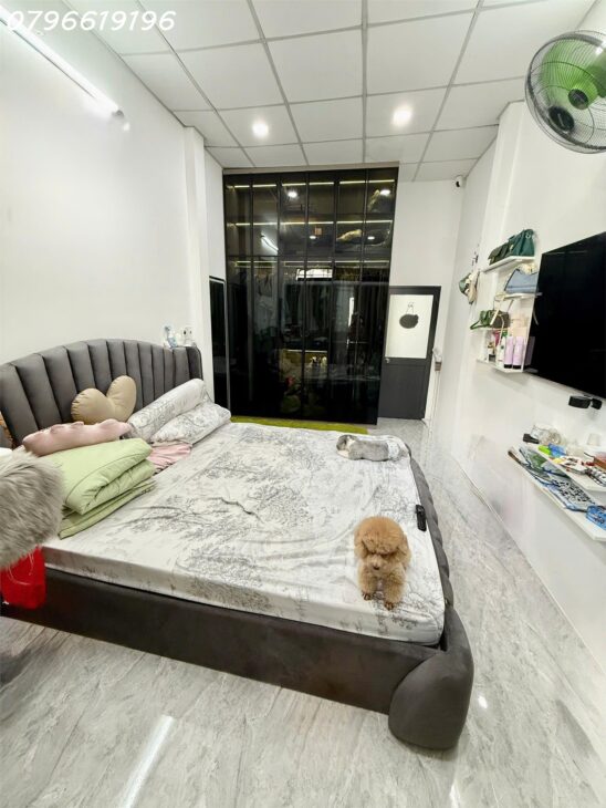 🍁 Âu Dương Lân P3Q8 vị trí trung tâm tiện di chuyển, full tiện ích