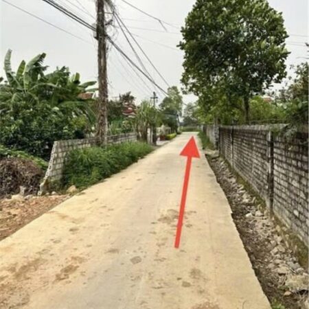 ĐẤT ĐẸP – GIÁ TỐT – CẦN BÁN LÔ ĐẤT VỊ TRÍ ĐẸP TẠI Xã Quỳnh Bảng, Huyện Quỳnh Lưu, Nghệ An ĐẤT ĐẸP – GIÁ TỐT – CẦN BÁN LÔ ĐẤT VỊ TRÍ ĐẸP TẠI Xã Quỳnh Bảng, Huyện Quỳnh Lưu, Nghệ An