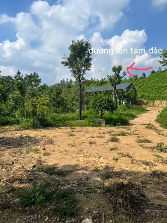 HÀNG HIẾM – Đất Chính Chủ – Mặt Tiền Vị Trí Xã Hồ Sơn, Huyện Tam Đảo, Tỉnh Vĩnh Phúc