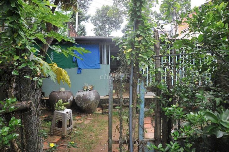 BÁN ĐẤT TẶNG NHÀ CHÍNH CHỦ – MẶT TIỀN Đường QL57, Xã Tân Hội, Huyện Mỏ Cày Nam, Bến Tre