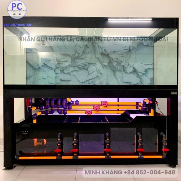 GỬI HỒ CÁ, BỂ CÁ VIẸT NAM SANG MỸ, ÚC